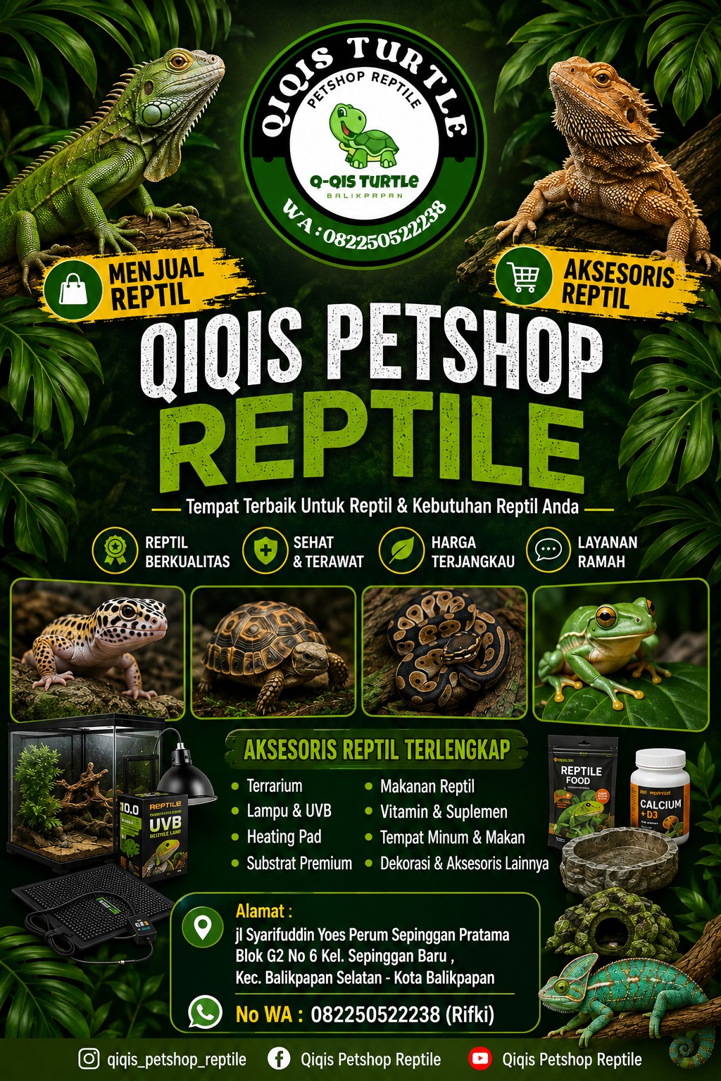 Poster QiqisTurtle - Reptil lucu dan sehat